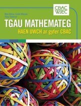 Gcse Mathematics Higher (Welsh Language)