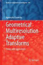 Studies in Computational Intelligence 545 - Geometrical Multiresolution Adaptive Transforms