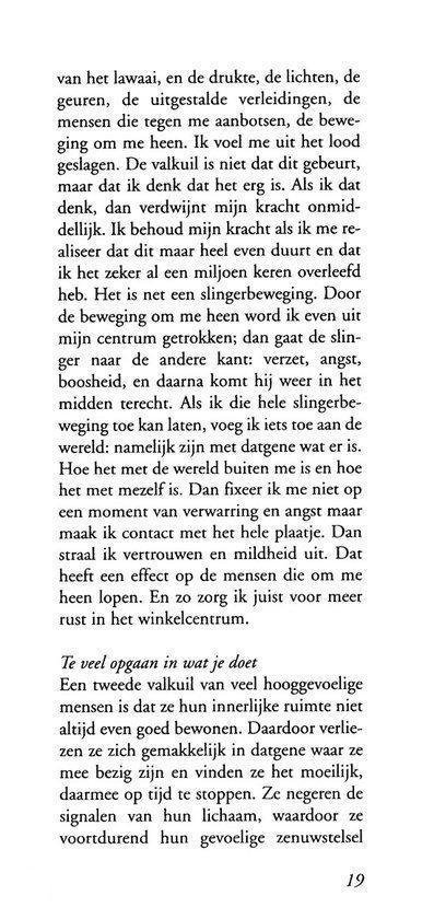 Tekstpagina over hooggevoeligheid, valkuilen en winkelcentra, met paginanummer 19.