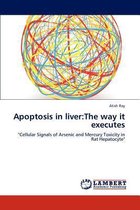 Apoptosis in Liver