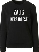 Zalig Kerstbeest  -  Strijkapplicatie