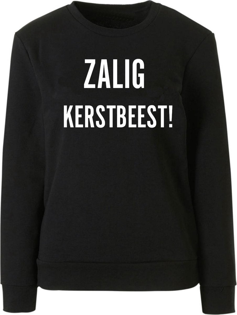 Strijkapplicatie _ Zalig Kerstbeest