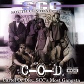 Cartel or Die: SCC's Most Gangsta