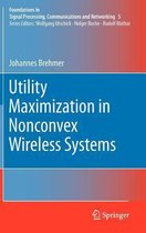 Utility Maximization in Nonconvex Wireless Systems