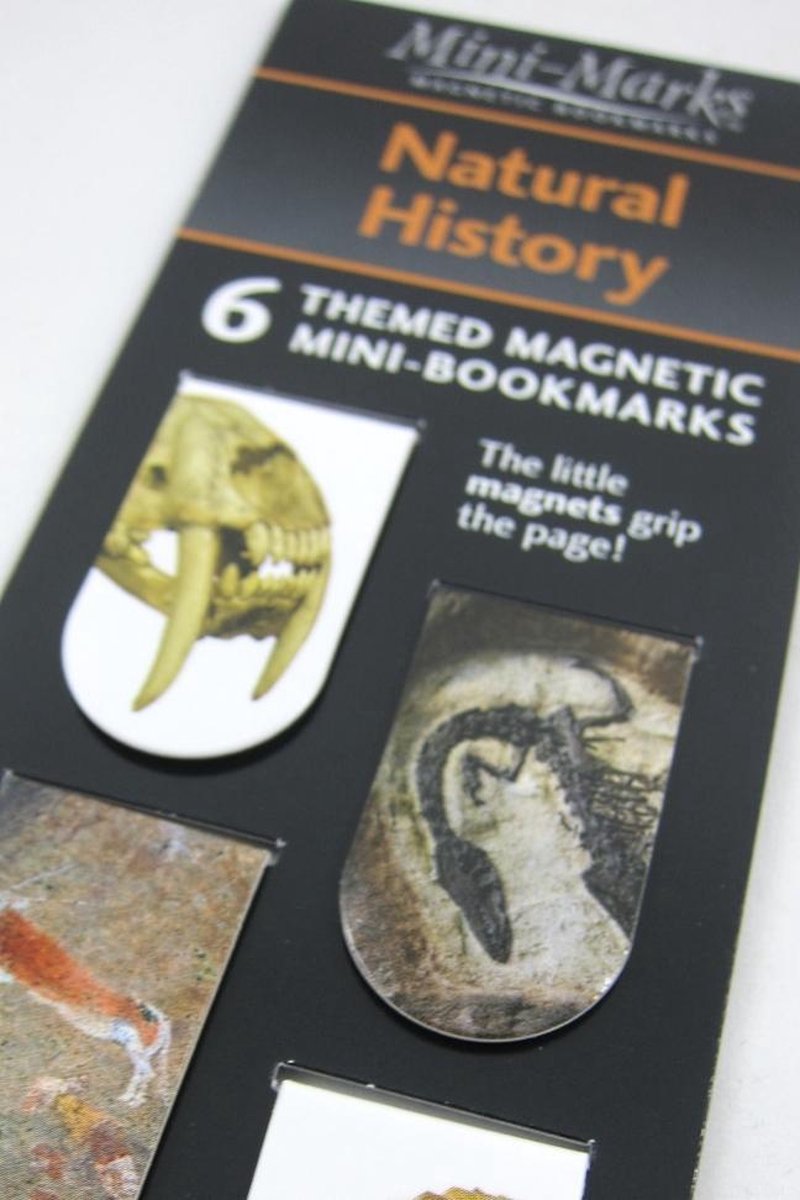 Magnetische bladwijzer- Natuurgeschiedenis