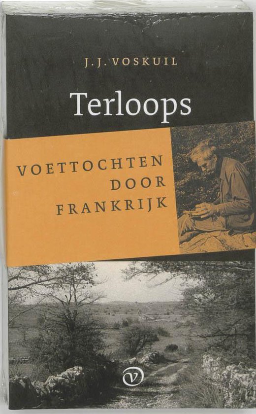 Cover van het boek 'Terloops' van J.J. Voskuil