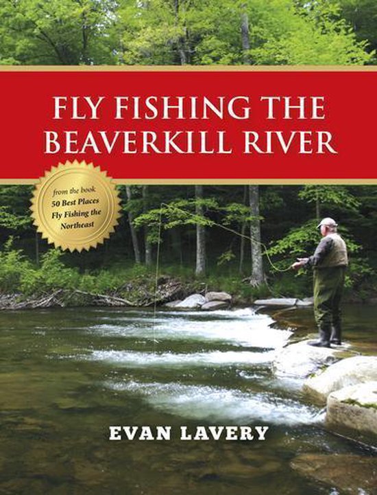 Fly Fishing the Beaverkill River - cover
