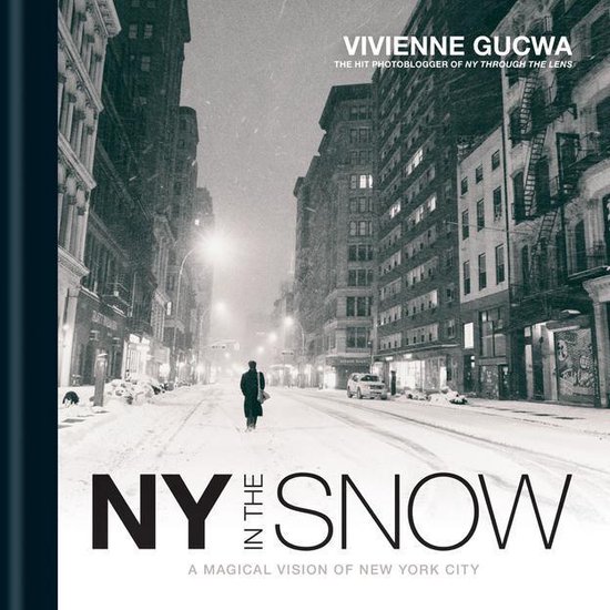 New York In The Snow - cover