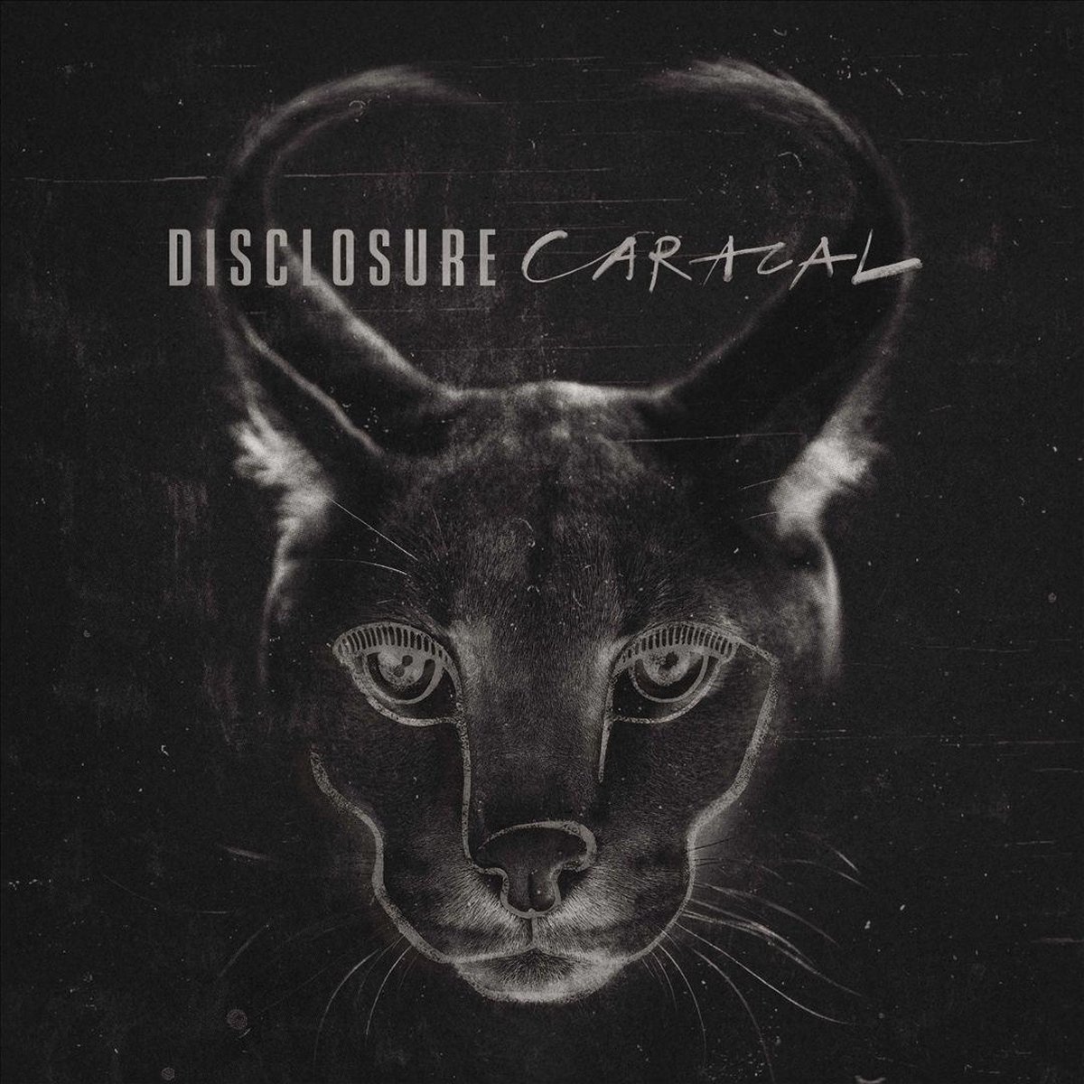 Caracal, DISCLOSURE CD (album) Muziek