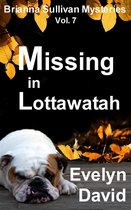 Brianna Sullivan Mysteries 7 - Missing in Lottawatah