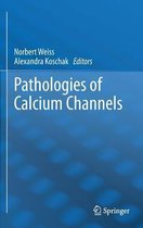 Pathologies of Calcium Channels