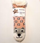 -LeuksteWinkeltje gevoerde sokken Kat Roze - huissokken met antislip mt 27-31