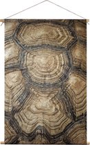 Schildpadschild | Dieren | Textieldoek | Textielposter | Wanddecoratie | 120CM x 180CM” | Schilderij
