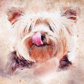 DP® Diamond Painting pakket volwassenen - Afbeelding: Tekening Hond - 30 x 30 cm volledige bedekking, vierkante steentjes - 100% Nederlandse productie! - Cat.: Dieren - Honden