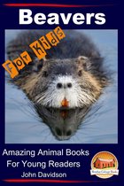 Amazing Animal Books - Beavers For Kids Amazing Animal Books for Young Readers