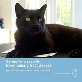 Caring for a Cat with Lower Urinary Tract Disease