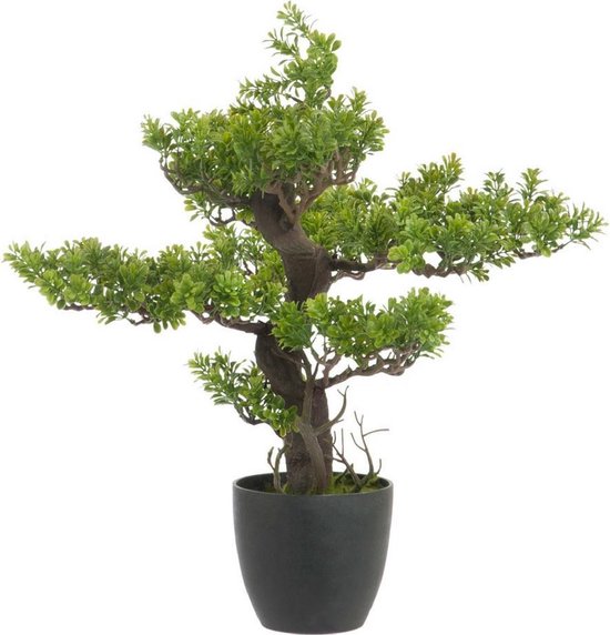 Kunstplant Bonsai Ceder groen H 80 cm kopen Kunstplant Bonsai Ceder groen H 80 cm kopen