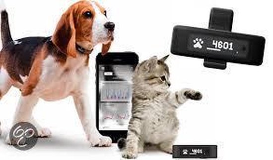 Tractive Motion - Health \u0026 Activity tracker voor huisdieren | bol.com