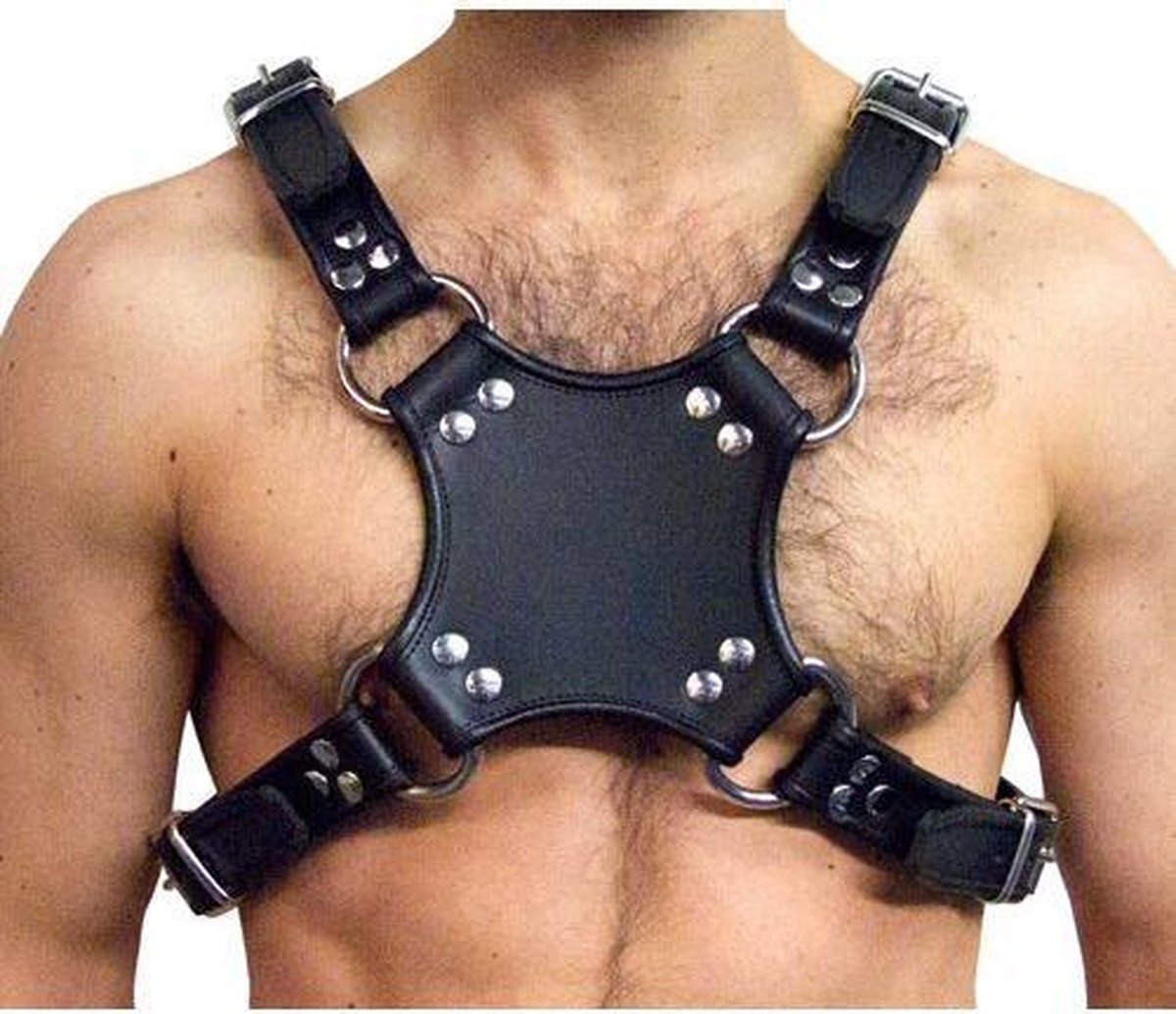MisterB Leather Walking Harness S/M