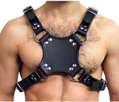 MisterB Leather Walking Harness S/M
