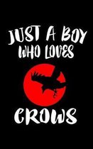 Just A Boy Who Loves Crows