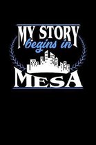 My Story Begins in Mesa