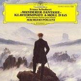 Schubert: Wanderer-Fantasie; Klaviersonate a-moll, D845