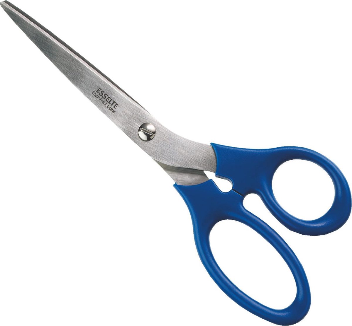 Esselte Schaar - Roestvrij Staal - 20 cm - Blauw