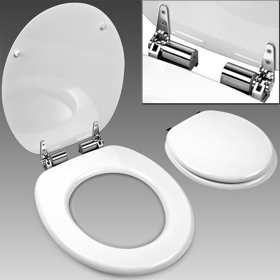Anders lont storm Toiletbril, toilet zitting, softclose, wc bril, wit | bol.com