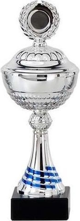 zeven sla Beroep Grote zilveren trofee/prijs beker 30 cm - Wedstrijdbeker - Bokaal - Cup -  Geschikt... | bol.com