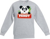 Pandy de panda sweater grijs voor kinderen - unisex - pandabeer trui 3-4 jaar (98/104)