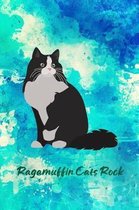 Ragamuffin Cats Rock