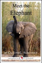 15-Minute Books - Meet the Elephant: A 15-Minute book for Early Readers