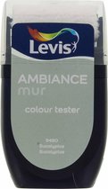 Levis Ambiance Kleurtester - Mat - Eucalyptus - 0,03L