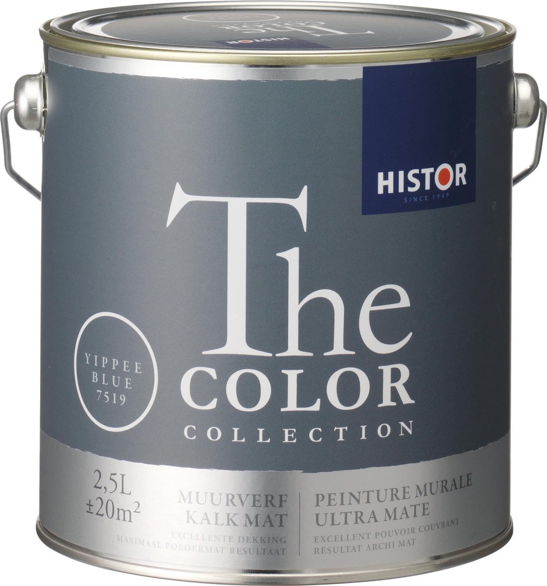 optioneel adelaar Tien Histor The Color Collection Muurverf - 2,5 Liter - Yippee Blue | bol.com