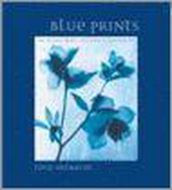 Blue Prints, Zeva Oelbaum | 9780847824328 | Boeken | bol