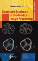 Geometric Methods in Bio-Medical Image Processing