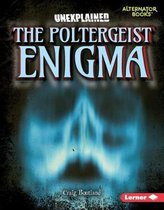 The Poltergeist Enigma