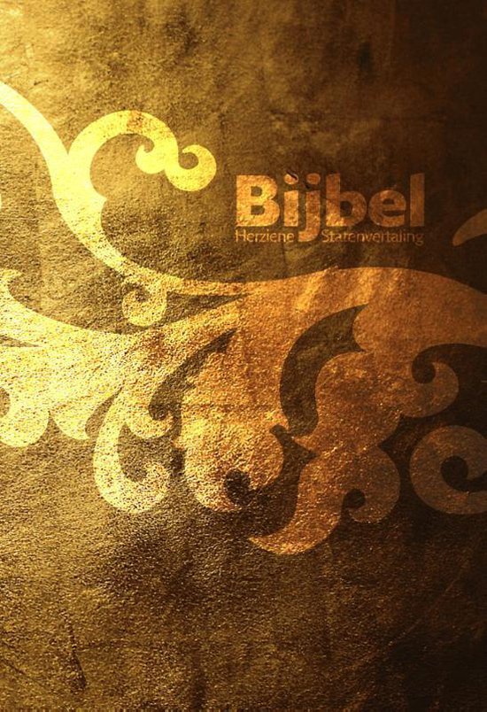 Cover van het boek 'Bijbel, Herziene Staten Vertaling, jongeren' van  *