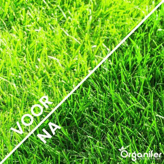 Gras Booster (Bigbag 750Kg voor 15.000m2) Organische Mestkorrel 3in1- voor Weides en Gazons waar groei gewenst is - Sterker Gras - Constante Groei - >120 dagen Voeding / Verrijkt met Mineralen en Spoorelementen - Organifer