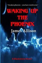 Waking Up the Phoenix