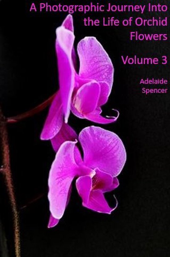 A Photographic Journey Into The Life Of Orchid Flowers - cover