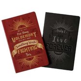 Harry Potter & Voldemort Notebook Set