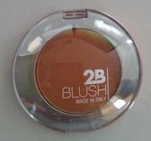 2B blush chrome 03