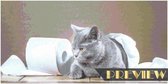 DP® Diamond Painting pakket volwassenen - Afbeelding: WC-rol Kat - 80 x 40 cm volledige bedekking, vierkante steentjes - 100% Nederlandse productie! - Cat.: Dieren - Katten