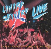 Southern By The Grace Of God - Tribute Tour 1987