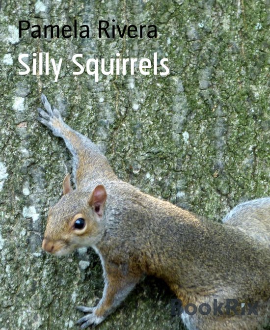 Silly Squirrels - cover