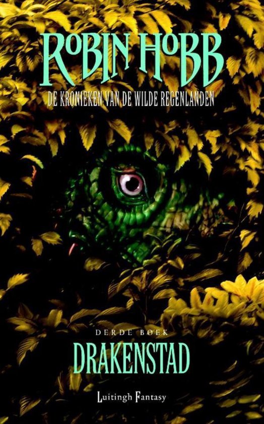 De kronieken van de Wilde Regenlanden - 3 - Drakenstad - cover