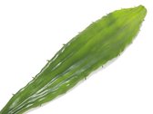 Europalms Aloëblad (EVA), groen, 60cm