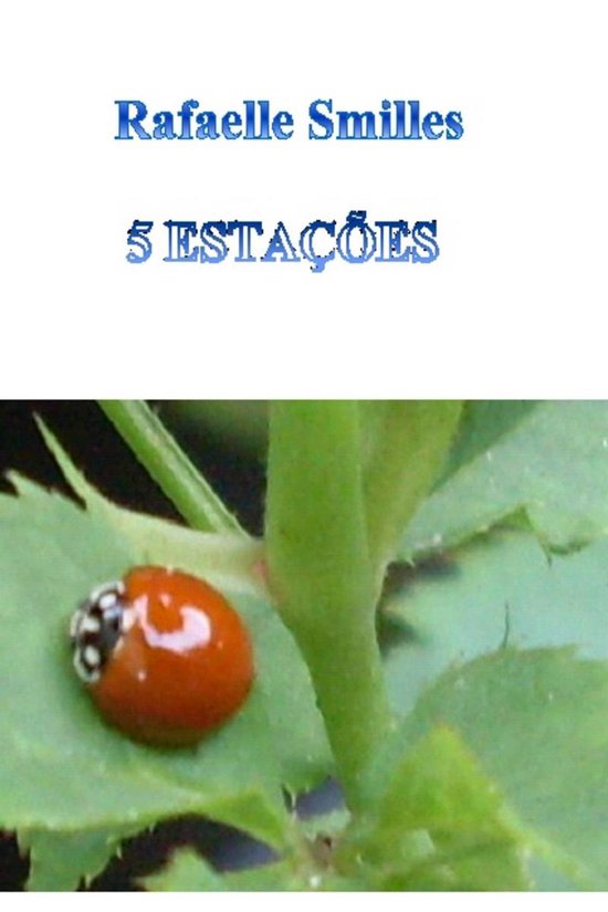 5 Estações novo - cover